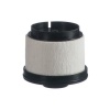 Diesel Filter - Isuzu Commercial KB Series - KB250 D-TEQ 85Kw Photo