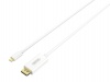 UNITEK 1.8m USB3.1 to Type-C to DisplayPort Cable Photo