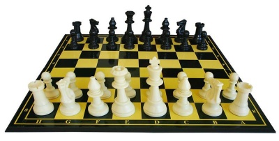 Photo of RGS Group RGS Chess Masters