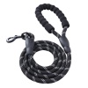 Dog Leash with Padded Handle - Black Photo