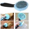 Pet Shedding Grooming Brush Photo