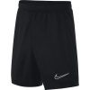 Nike Big Kids Dri-Fit Academy Soccer Shorts Photo