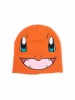 Charmander Beanie Console Photo