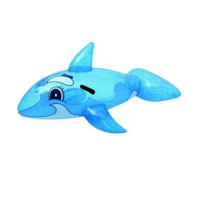 Photo of Pool Toy Whale Rider