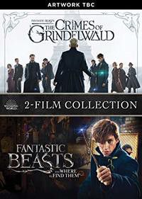 Photo of Fantastic Beasts 1 & 2 Boxset