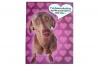 I've been Plucking up the Courage to ask you Valentines Card Photo