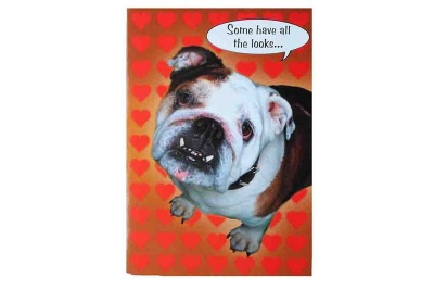 Photo of Some have All the Looks - Valentines Card!