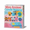 4M Animal Candle Making Photo