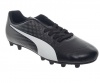 Puma Men's Invade Graphic FG Photo