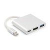 Woo Aluminum Usb-c to Hdmi 3.1 Converter HDMI/USB 3.0/TypeC -Silver Photo