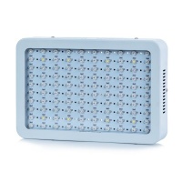 1000W LED Grow Light Full Spectrum for Greenhouse Hydroponic Plant