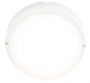 Bright Star - 8 Watt LED Oval PVC Bulkhead Polycarbonate Cover Bright Star - 8 Watt LED Oval PVC Bulkhead Polycarbonate Cover Photo