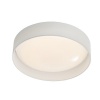 The Lighting Warehouse - Ceiling Flush Mount Lee 21250 Photo