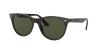 Ray-Ban Wayfarer 2 RB2185 902/31 55 Sunglasses Photo