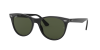 Ray-Ban Wayfarer 2 RB2185 901/31 55 Sunglasses Photo