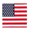 Bandana - American Flag - 5 Pack Photo