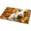 Doormat Interior Jack Russel Photo
