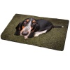 Doormat Interior Hound Photo