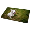 Doormat Interior Jack Russel Puppy Photo