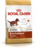 Royal Canin Dachshund Junior 1.5kg Photo