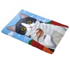 Doormat Cat & Bird Photo