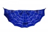 Ashcom Fantasy Wings - Spider Web Photo