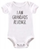 BTSN - I am Grandad's Revenge Baby Grow Photo