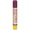 Burt's Bees Lip Shimmer - Watermelon E 2.6G Photo