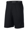 Nike Men's Dri-FIT Training Shorts Photo