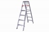 Caslad - LASD6 Industrial Double Sided Ladder 1.8m Photo