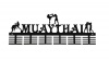 DCDesigners Muaythai 3 figure 48 Tier Medal Hanger - Black Photo