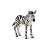 Schleich Zebra Foal Photo