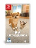 Little Friends: Dogs & Cats Photo
