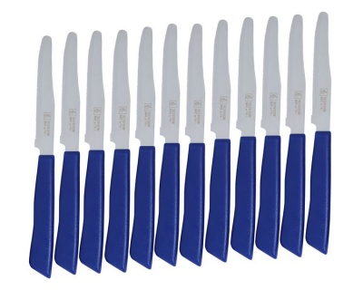 Photo of 12 Piece Italian Table Knives - Blue
