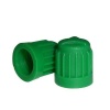 Tyre Valve Cap Green Photo