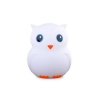 Baby Night Light Photo