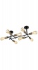 Black and Satin Brass Ceiling Light CF058/8 Photo