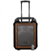 Filo FCH10A Portable PA Speaker MP3 USB SD FM & BT - 10" Photo