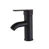 Bathroom Black Painted Taps Brass Single Handle Tap Water Faucet Photo