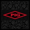 Pig - Candy Photo