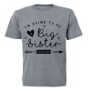 Big Sister - Again - Kids T-Shirt - Grey Photo