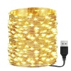 Litehouse 200LED Copper Warm White USB Fairy Lights 20m Photo