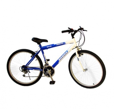 Photo of White and Blue Bronx 26" Road Bike 21 Friction Gear System