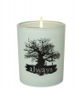 Harry Potter: Always Glass Votive Candle Photo