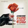 Suzanne Ciani - Flowers Of Evil Photo