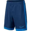 Nike Kids' Dri-FIT Academy Soccer Shorts Photo