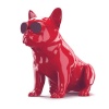 Aerobull Glossy Red XS1 Photo