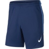 Nike Men's Dri-FIT Strike Soccer Shorts - Blue Photo