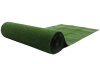 Hazlo Iris Secret Artificial Grass Lawn Turf - 5 Square Meters Photo