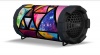 shoX Dynamix Portable Bluetooth Speaker Photo